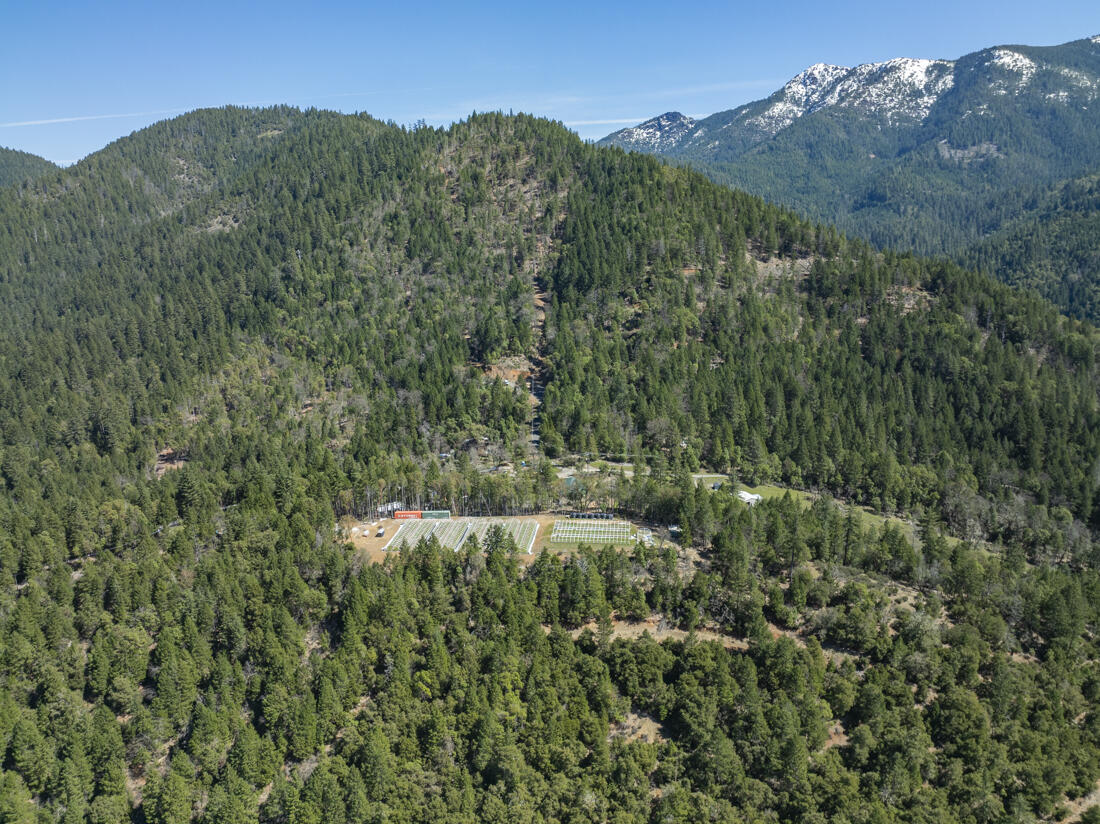 550 Terrace Heights Road Selma, OR 97538 - Photo 14 of 26 DJI_0012