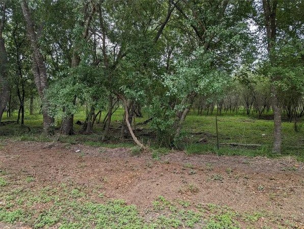 a view of outdoor space with green space