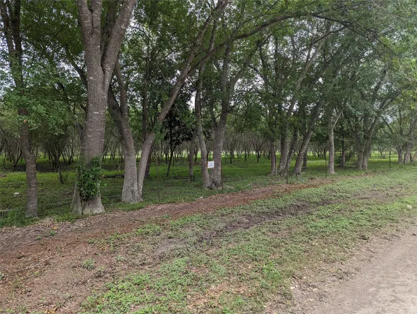 a view of outdoor space with trees
