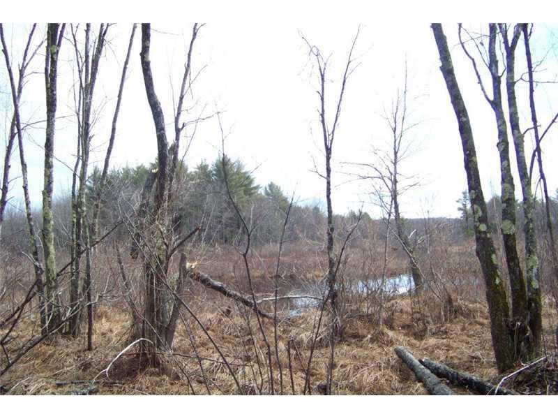 Lot 5 Lewis Hill Road West Newfield, ME 04095 - Photo 10 of 12 Land/Lot.