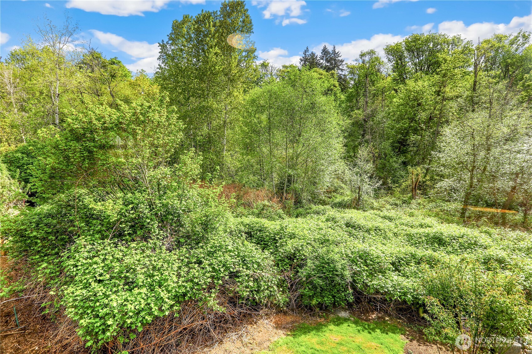 23327 8th Place West Bothell, WA 98021 - Photo 34 of 40