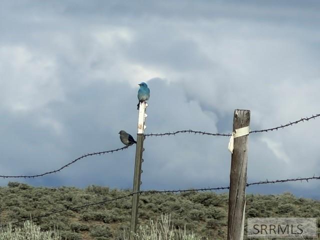 238 Geertson Creek Road Salmon, ID 83467 - Photo 25 of 36