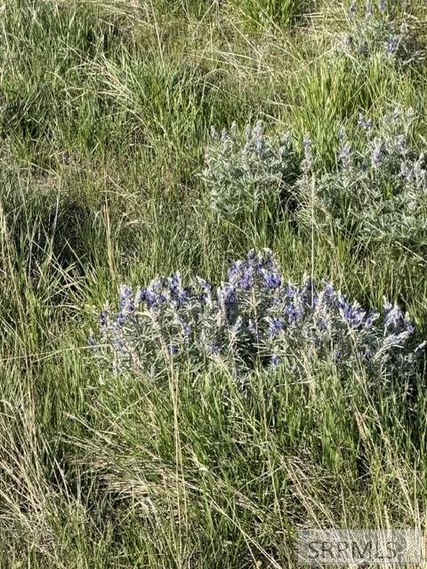 238 Geertson Creek Road Salmon, ID 83467 - Photo 26 of 36
