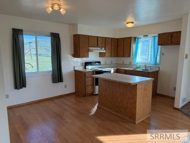 238 Geertson Creek Road Salmon, ID 83467 - Photo 6 of 36