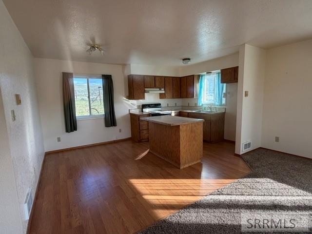 238 Geertson Creek Road Salmon, ID 83467 - Photo 7 of 36