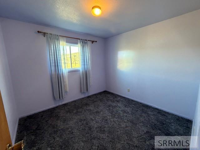 238 Geertson Creek Road Salmon, ID 83467 - Photo 10 of 36
