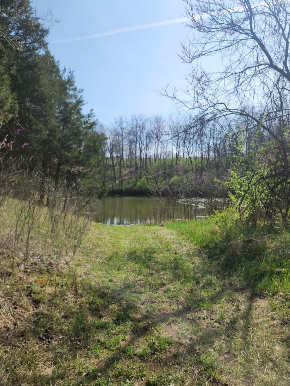 0 Dugan Road Vevay, IN 47043 - Photo 53 of 53 Gallery Image 53