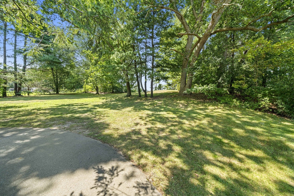 246 Dedham Street Canton, MA 02021 - Photo 9 of 9 a view of a big yard with plants and large trees