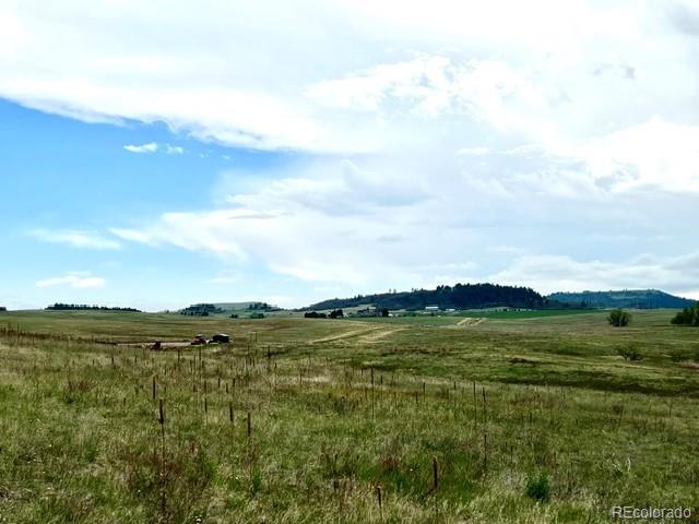 11977 Haskell Creek Road Larkspur, CO 80118 - Photo 18 of 29