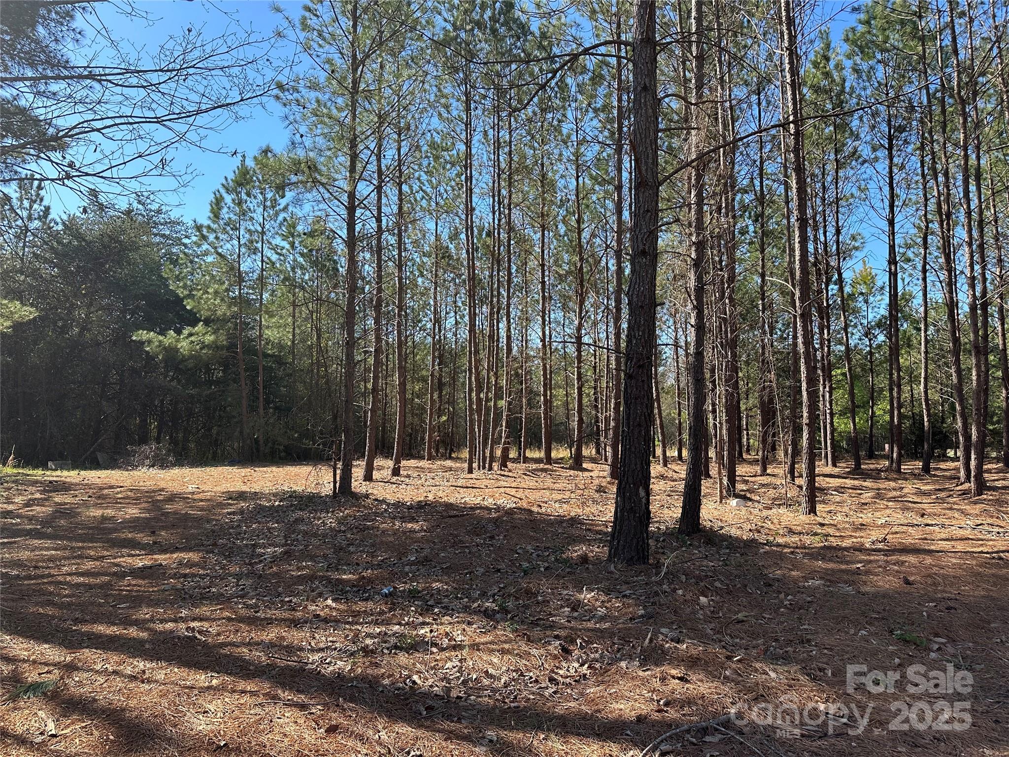 4313 East Maiden Road Maiden, NC 28650 - Photo 3 of 8 Gallery Image 3
