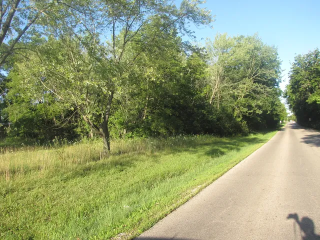 a view of swimming pool from a yard