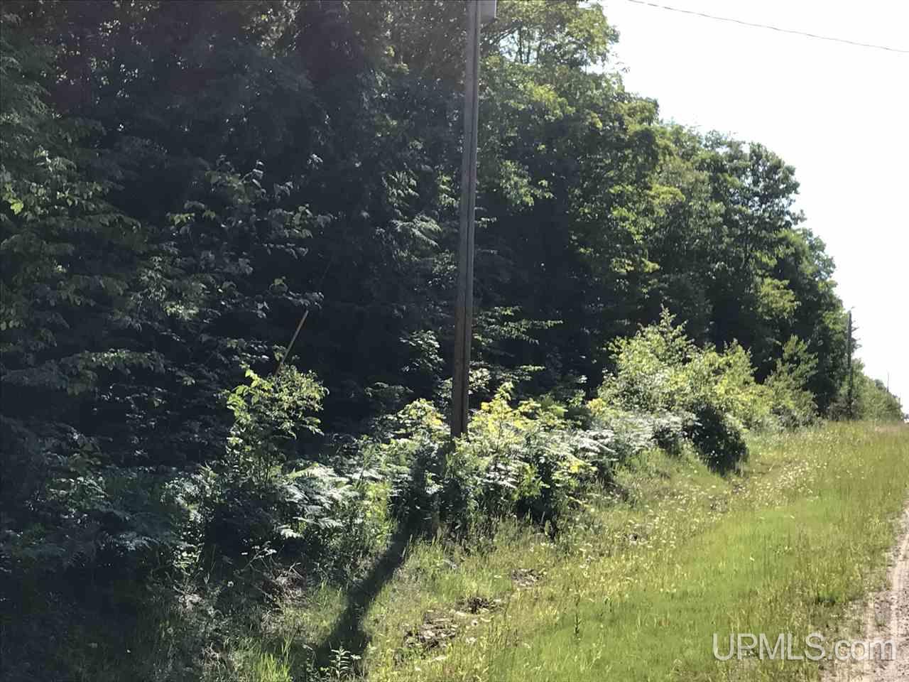Tbd Aldrich Road Chassell, MI 49916 - Photo 13 of 16 Gallery Image 13