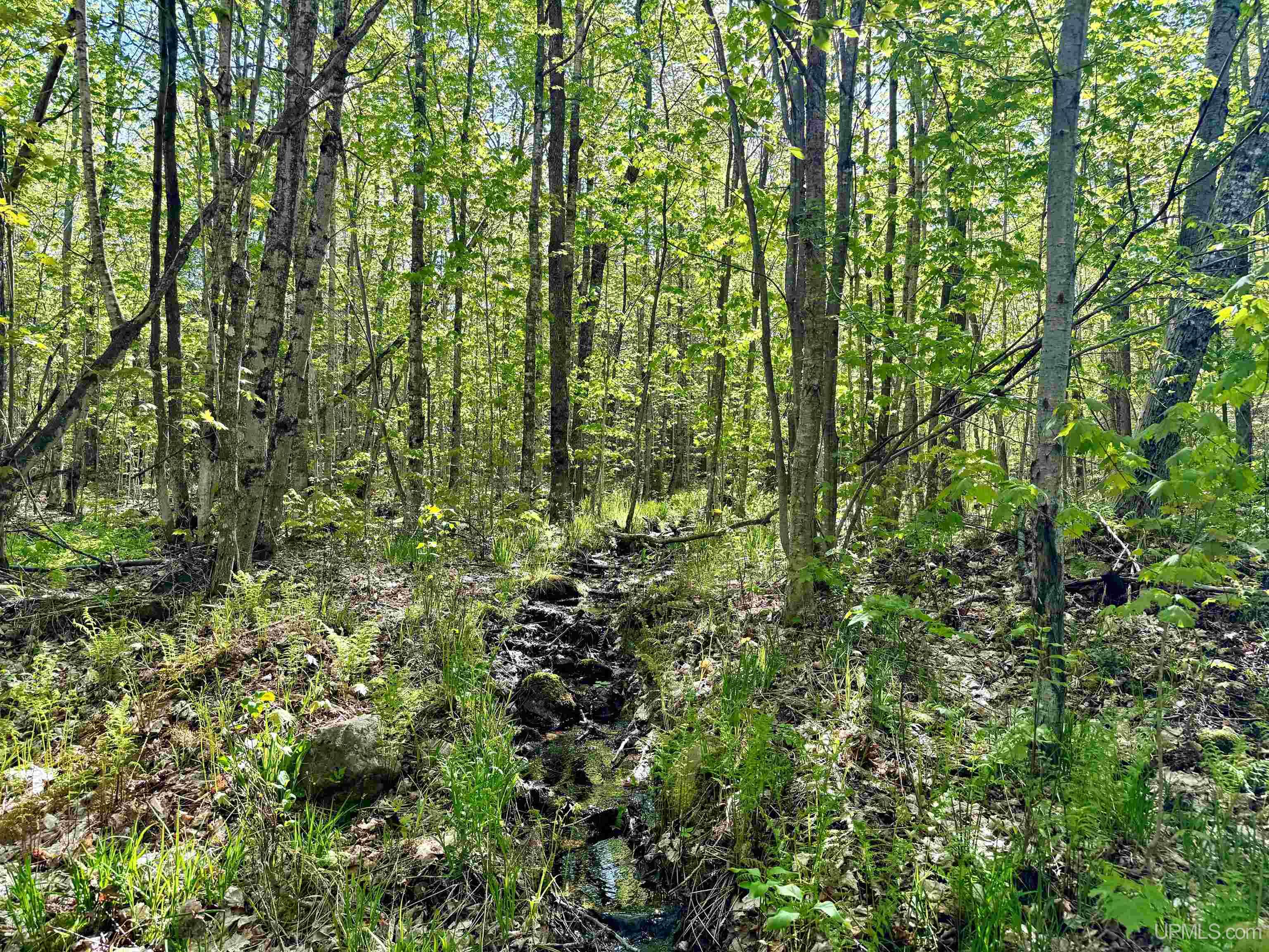 Tbd Tbd Segan Road Marquette, MI 49855 - Photo 21 of 21