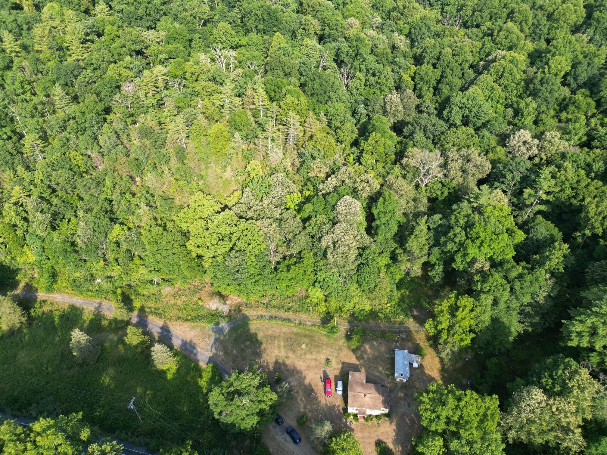 14924 Brocks Gap Road Fulks Run, VA 22830 - Photo 4 of 8 Gallery Image 4