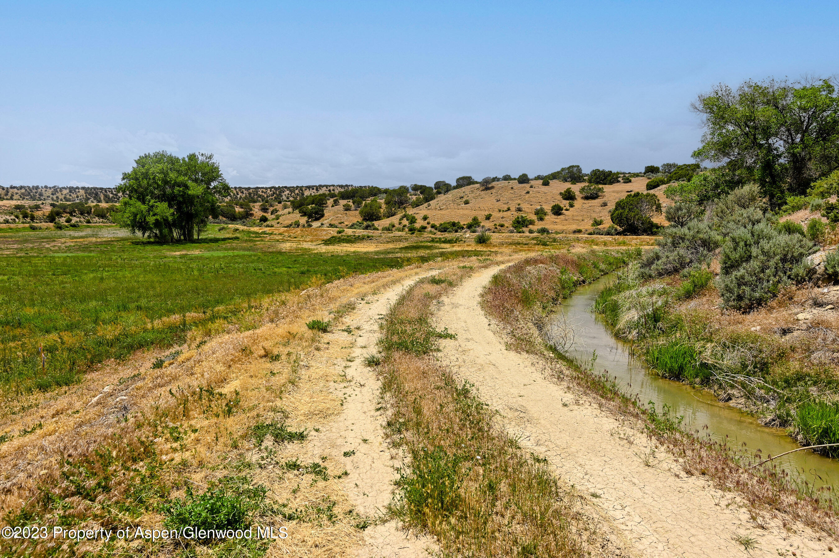 194 Scutter Lane Rifle, CO 81650 - Photo 18 of 32 a view of a yard with an trees