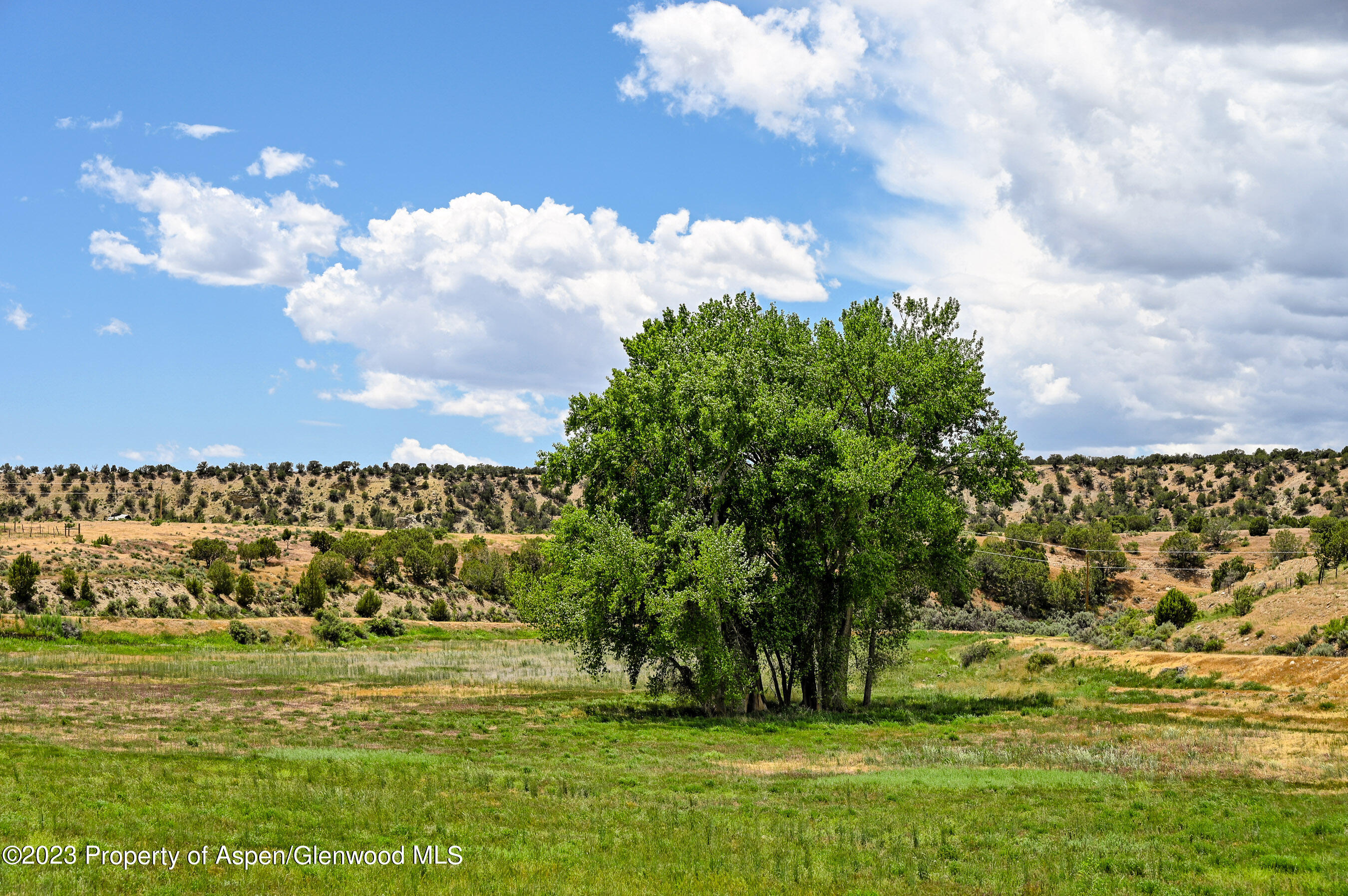 194 Scutter Lane Rifle, CO 81650 - Photo 19 of 32 a view of a big yard