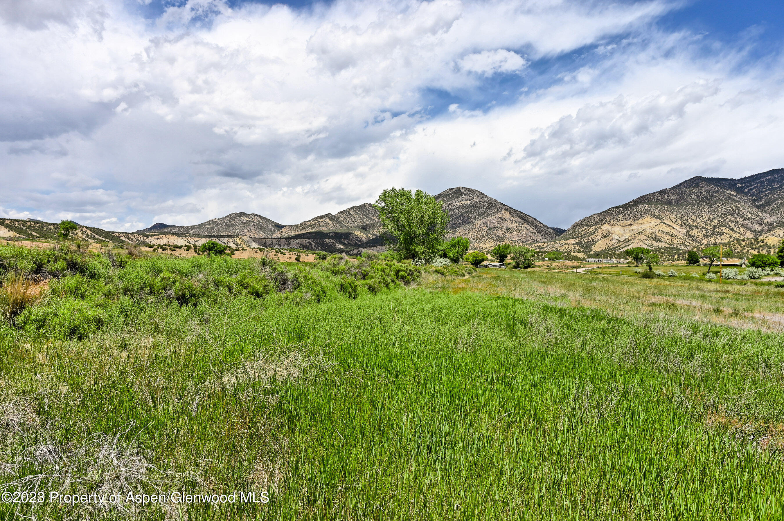 194 Scutter Lane Rifle, CO 81650 - Photo 5 of 32 a view of a big yard with large trees