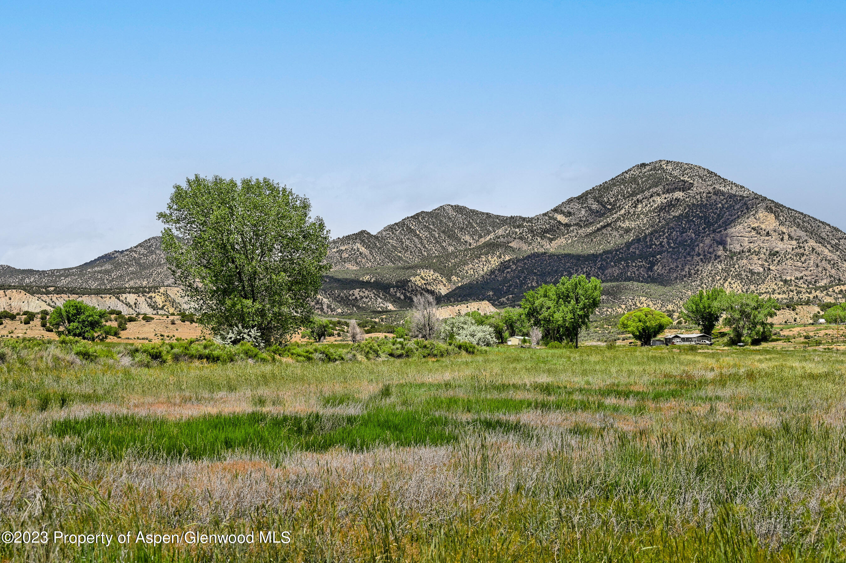 194 Scutter Lane Rifle, CO 81650 - Photo 7 of 32 a view of a lush green outdoor space with a lake view
