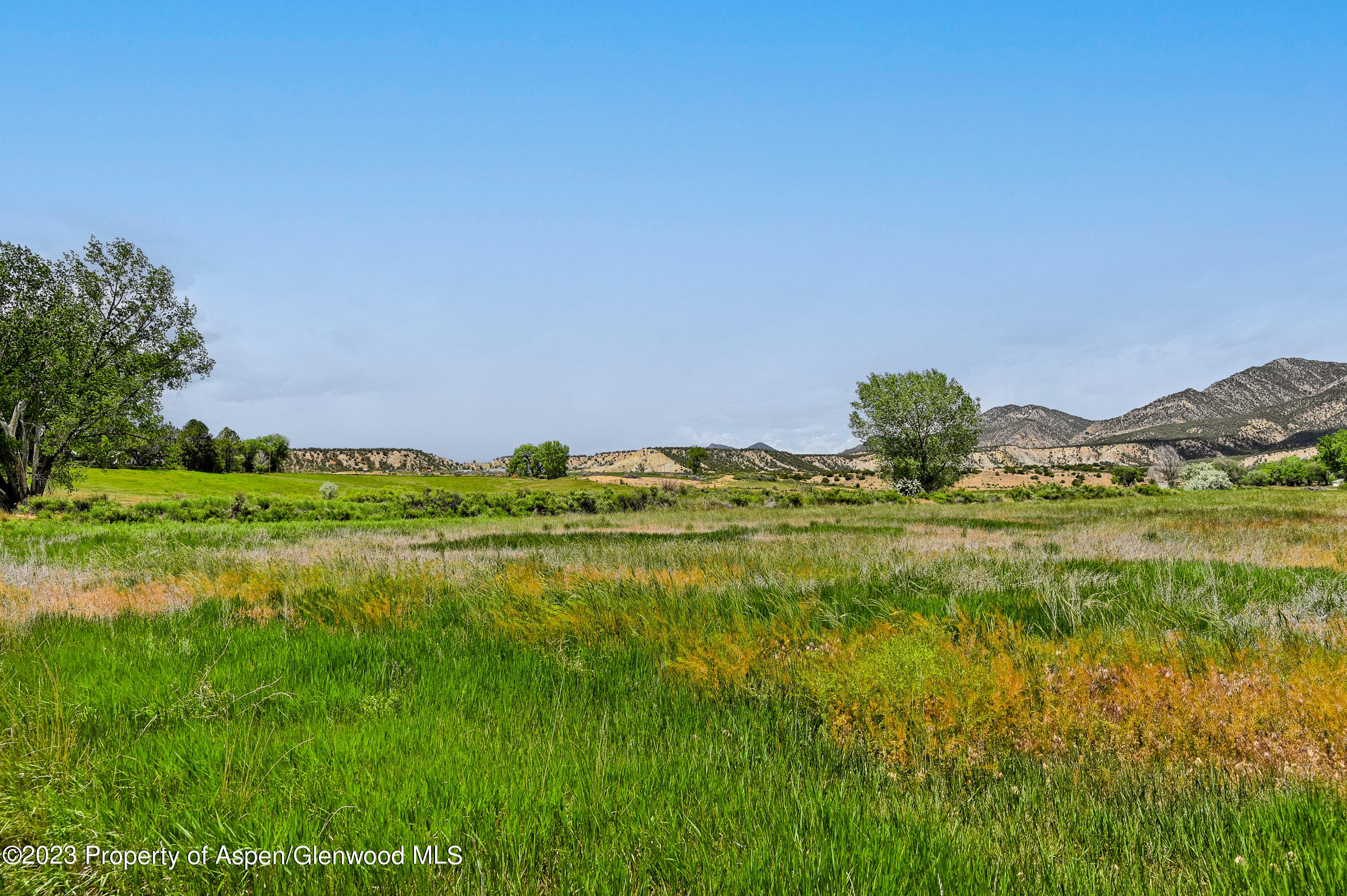 194 Scutter Lane Rifle, CO 81650 - Photo 8 of 32 a view of green landscape with mountains in the background