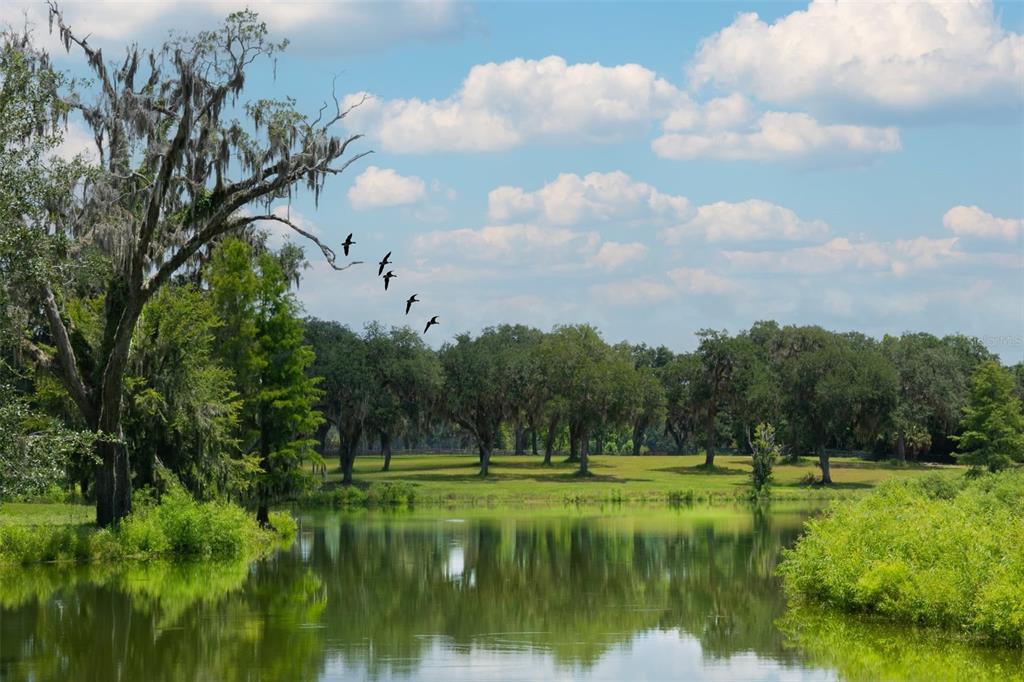 5540 Southeast 157th Street Road Summerfield, FL 34491 - Photo 13 of 27 a view of a lake