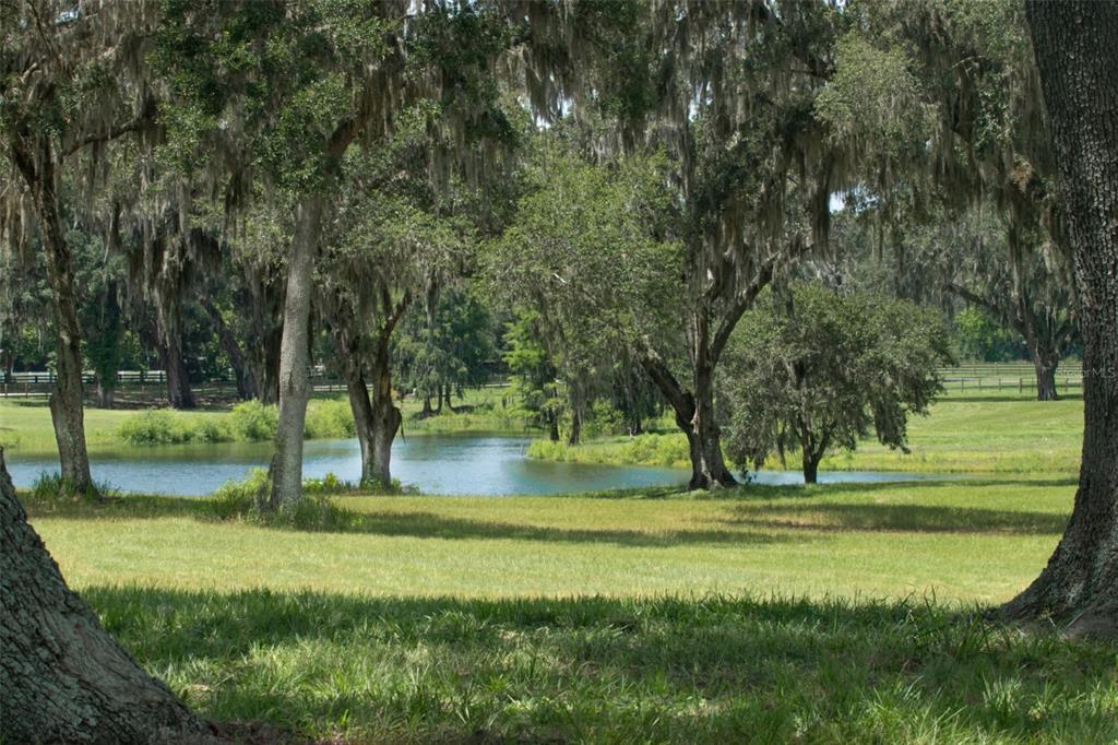 5540 Southeast 157th Street Road Summerfield, FL 34491 - Photo 14 of 25 a view of a park