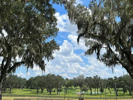 a view of a house with a yard and potted plants