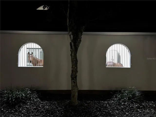 a view of a big yard with palm trees