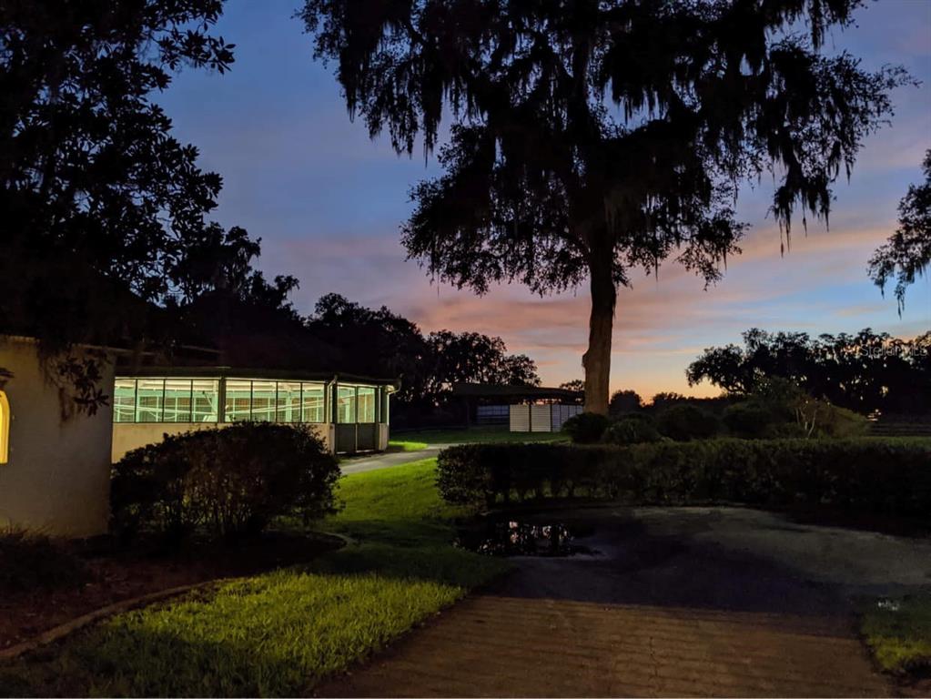 5540 Southeast 157th Street Road Summerfield, FL 34491 - Photo 2 of 25 a view of a backyard of the house
