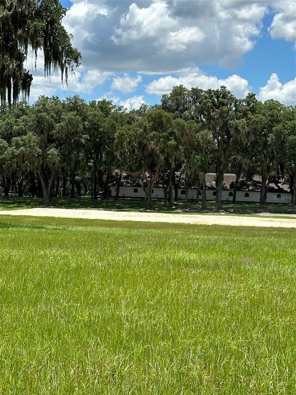 5540 Southeast 157th Street Road Summerfield, FL 34491 - Photo 21 of 25 a view of a volley ball court