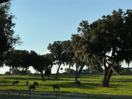 $4,995,000 | 5540 Southeast 157th Street Road, Summerfield, FL 34491