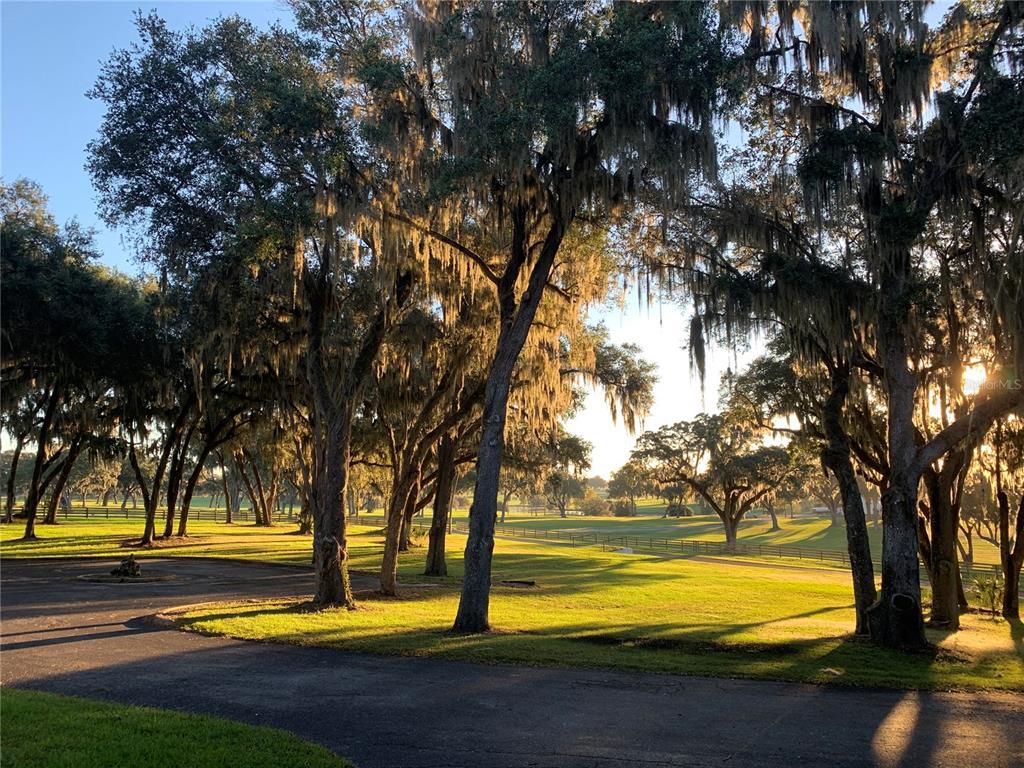 5540 Southeast 157th Street Road Summerfield, FL 34491 - Photo 3 of 25 a view of swimming pool with an outdoor space and seating area