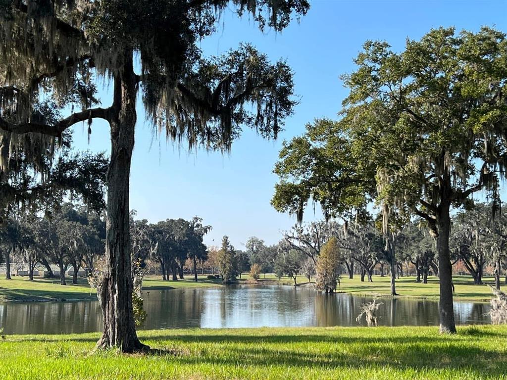 5540 Southeast 157th Street Road Summerfield, FL 34491 - Photo 4 of 25 a view of lake with trees