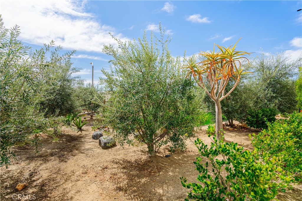 35103 Vintage Cove Fallbrook, CA 92028 - Photo 58 of 67