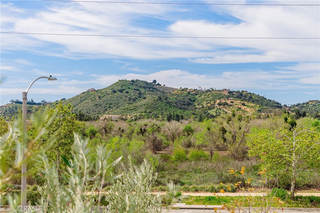 35103 Vintage Cove Fallbrook, CA 92028 - Photo 58 of 66 a view of a city