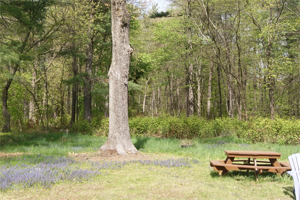 14 Springs Road Billerica, MA 01821 - Photo 4 of 23 Gallery Image 4