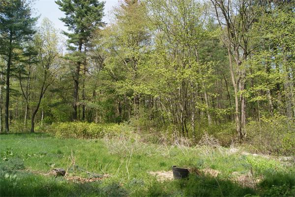 14 Springs Road Billerica, MA 01821 - Photo 9 of 23 Gallery Image 9