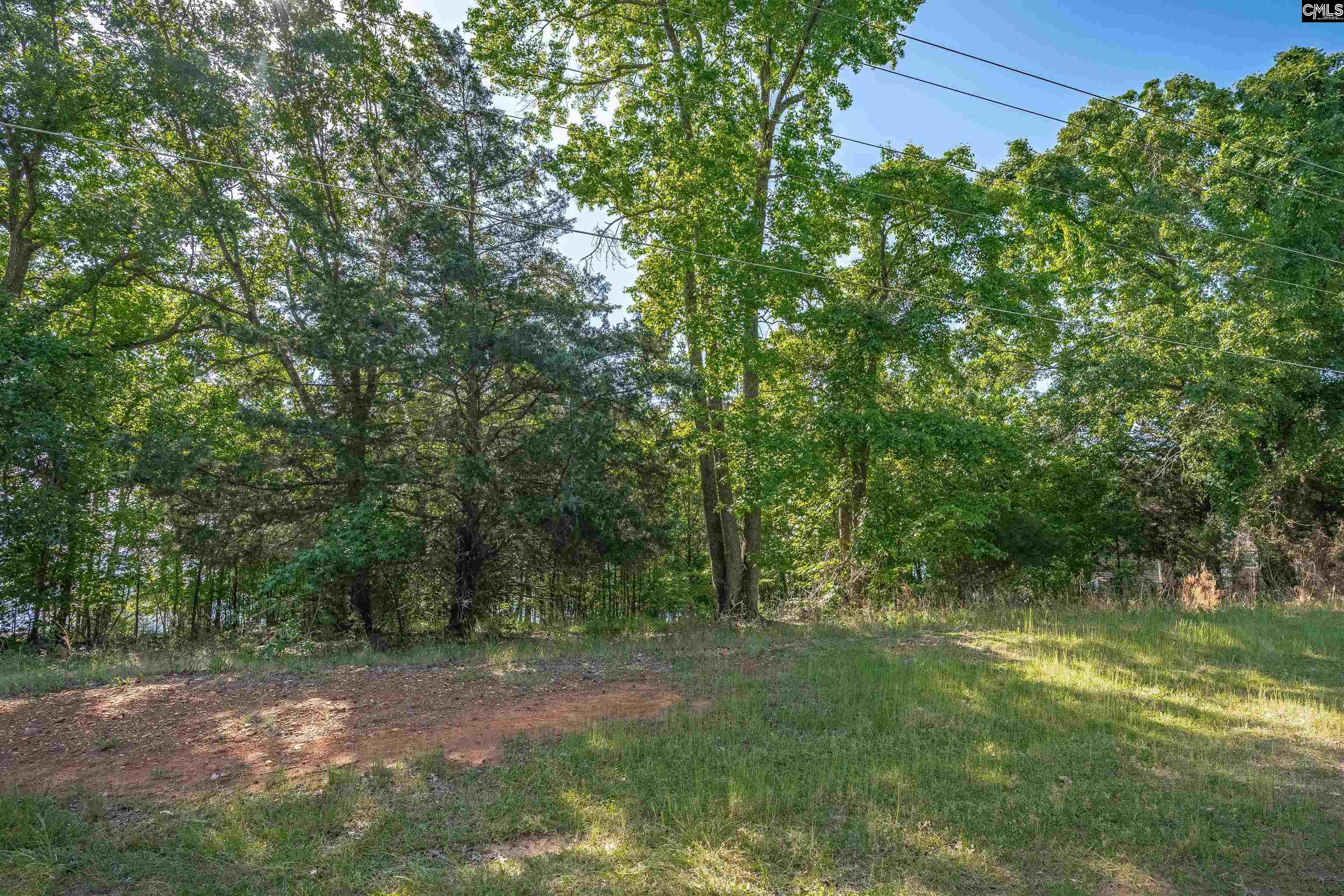 2022 Lake Road Ridgeway, SC 29130 - Photo 17 of 21