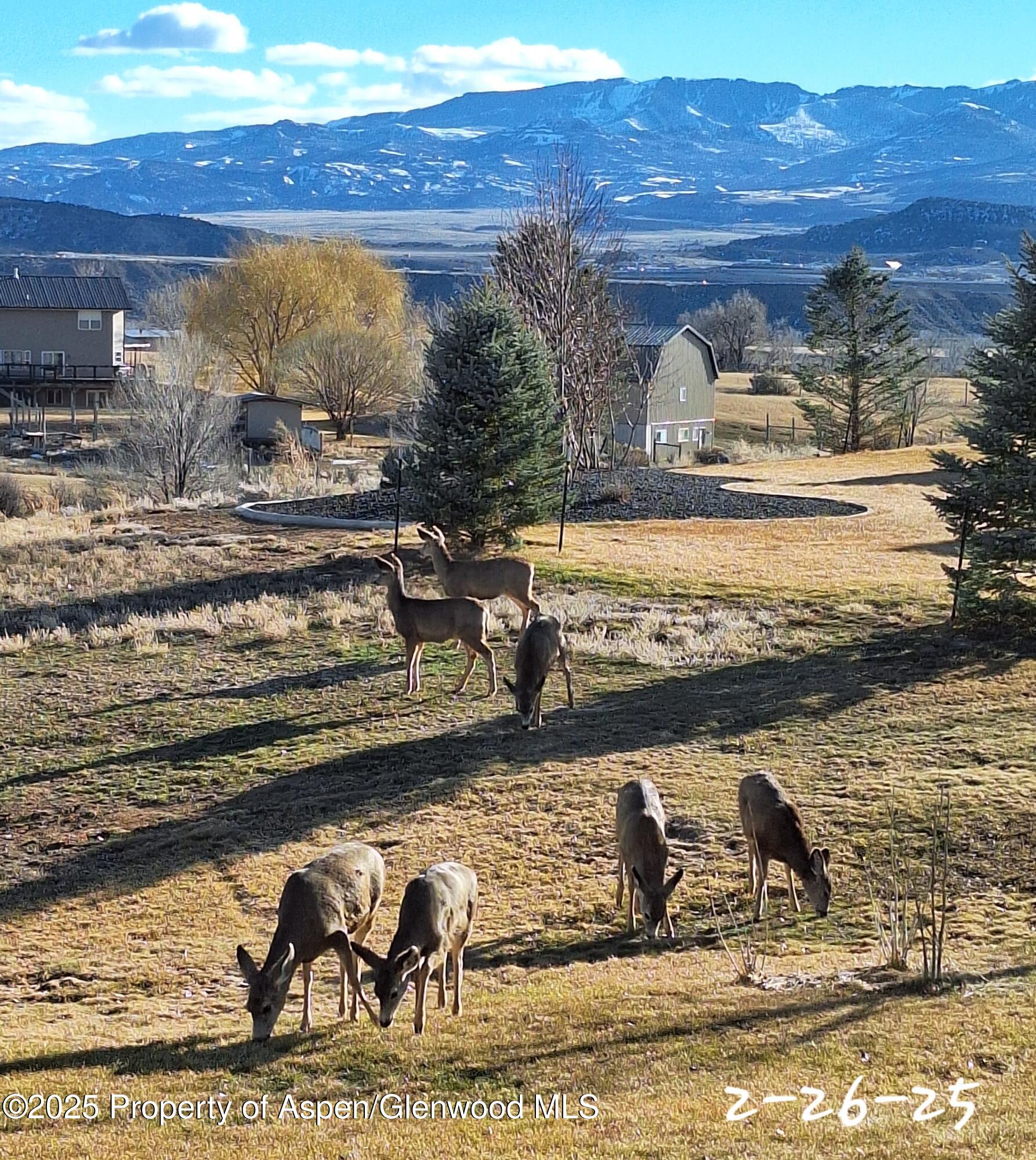 265 South Meadow Drive Rifle, CO 81650 - Photo 7 of 76 20250226_161136