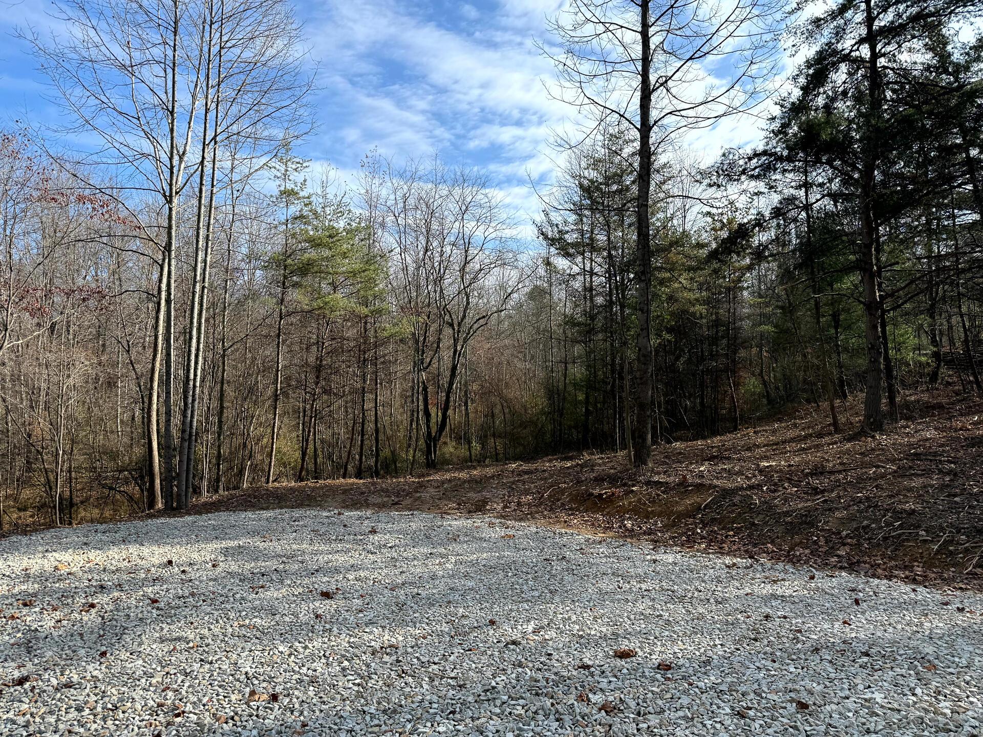 0 Dutch Ridge Road Southeast, Unit WOODS TURKEY RUN TRACT 2) New Lexington, OH 43764 - Photo 5 of 37