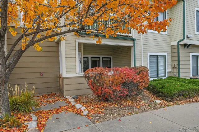 a view of a house with a small yard and tree s