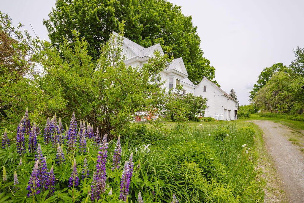 77 Main Street New Sharon, ME 04955 - Photo 67 of 70 taylor-kaminsky-photo-70
