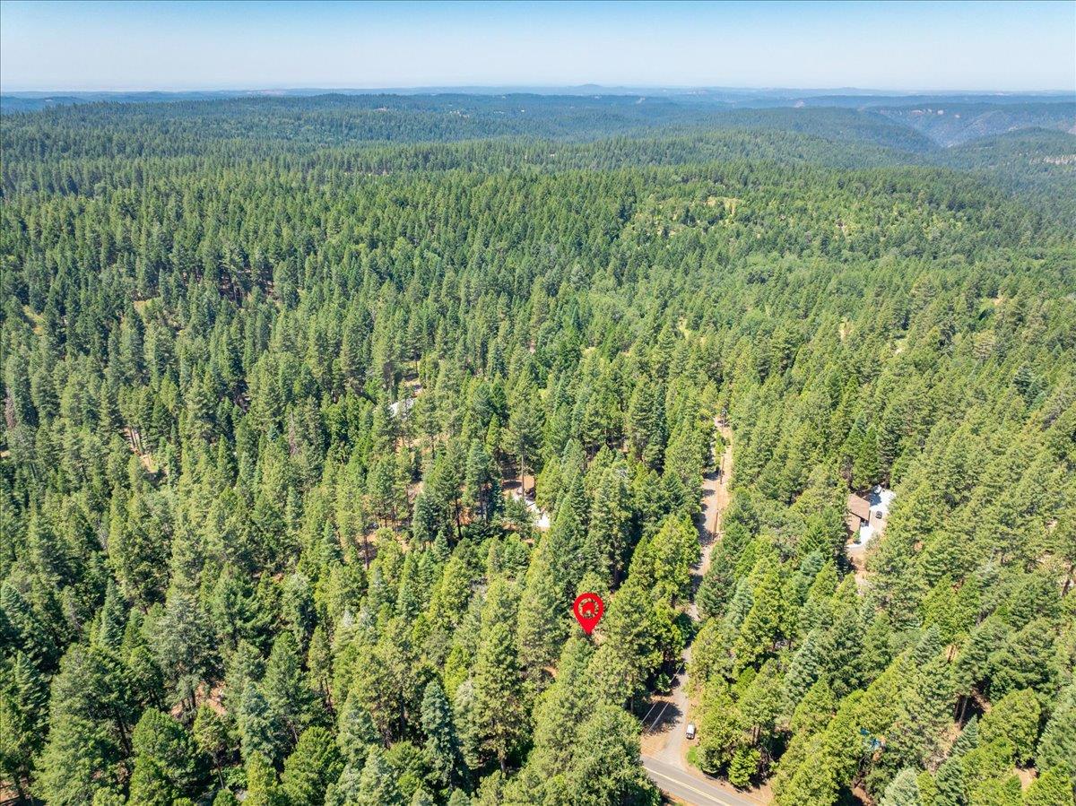 2226 Blair Road Pollock Pines, CA 95726 - Photo 52 of 58
