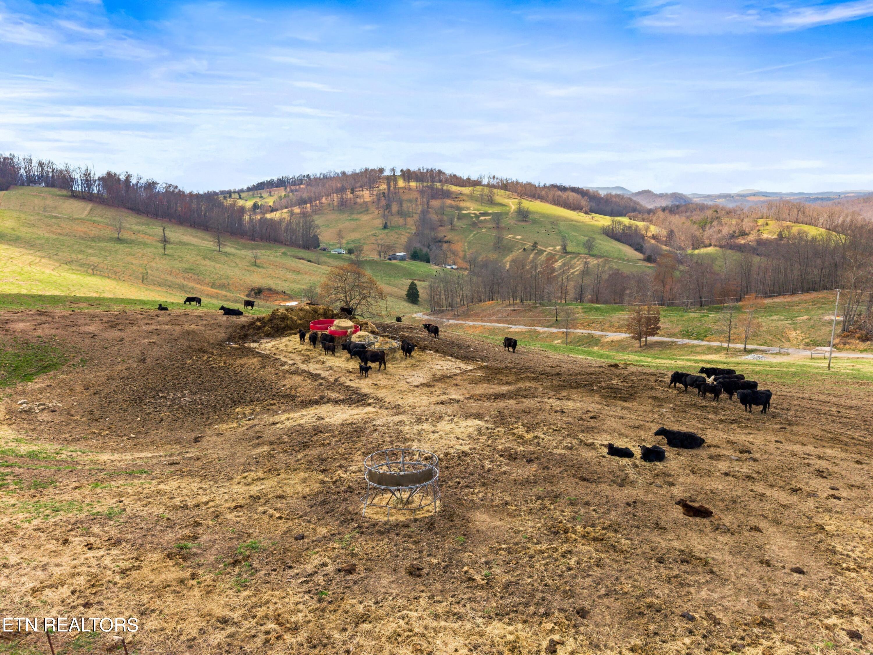 Beech Grove Road Thorn Hill, TN 37881 - Photo 11 of 24 008-BeechGroveRoad-60Acres-ThornHill-TN-