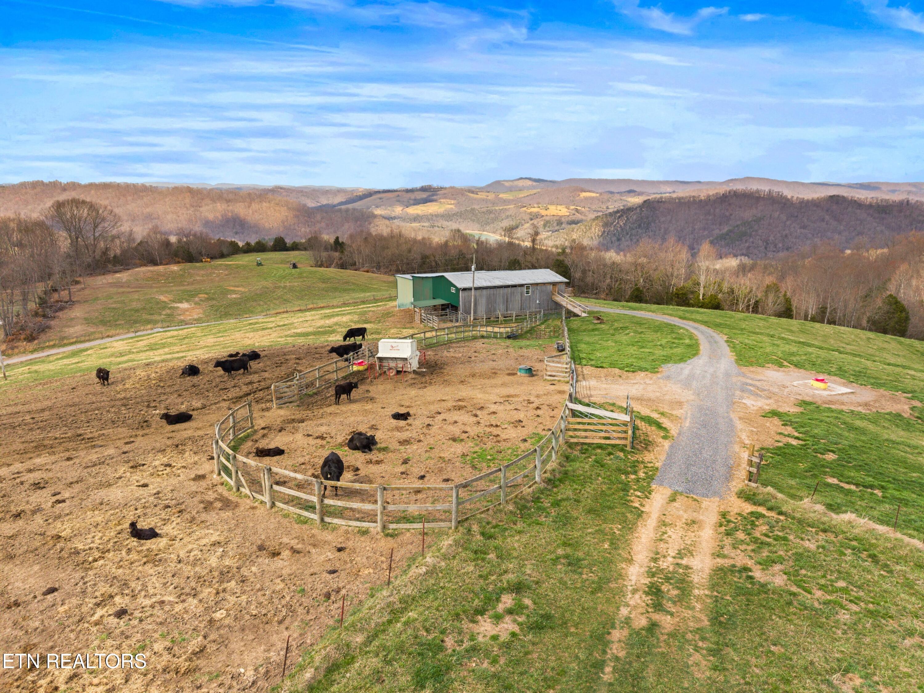 Beech Grove Road Thorn Hill, TN 37881 - Photo 12 of 24 009-BeechGroveRoad-60Acres-ThornHill-TN-