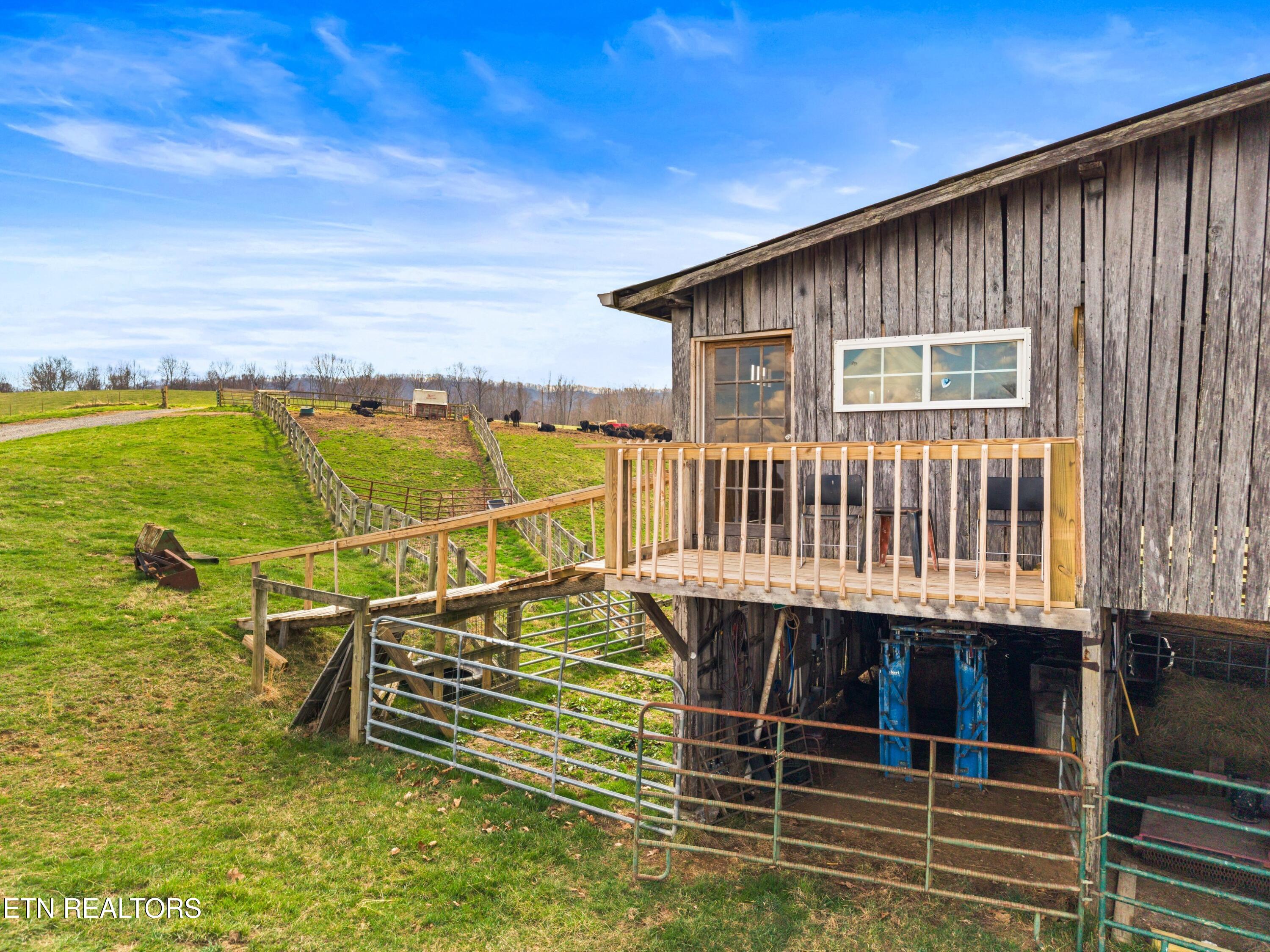 Beech Grove Road Thorn Hill, TN 37881 - Photo 16 of 24 013-BeechGroveRoad-60Acres-ThornHill-TN-