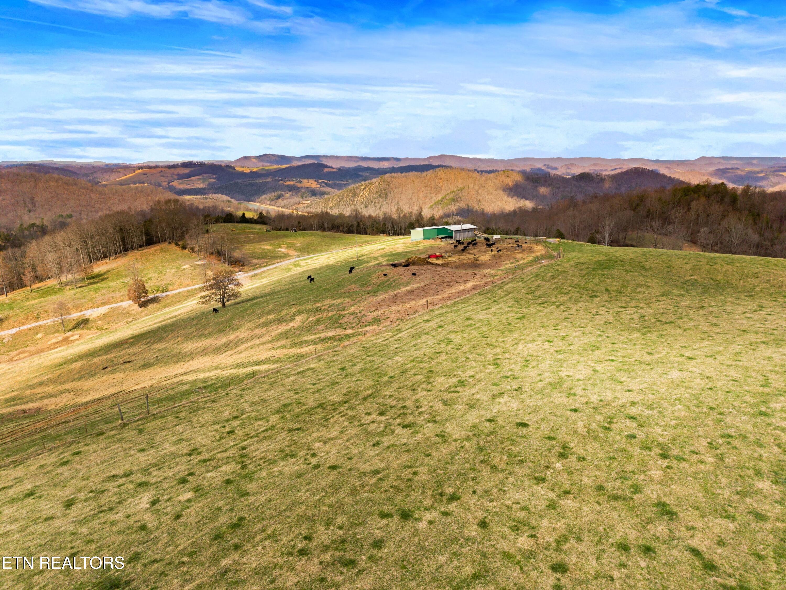 Beech Grove Road Thorn Hill, TN 37881 - Photo 4 of 24 005-BeechGroveRoad-60Acres-ThornHill-TN-