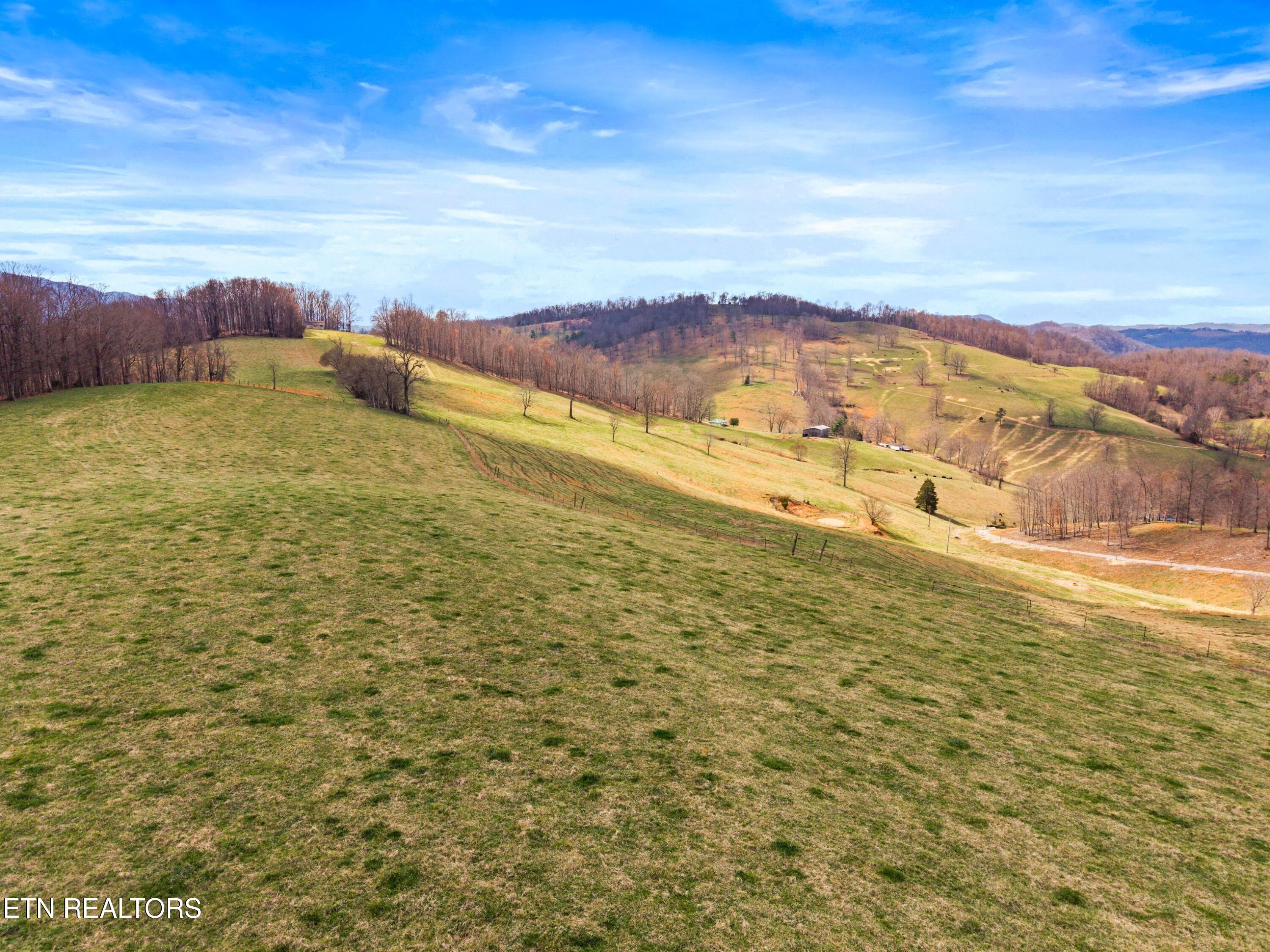 Beech Grove Road Thorn Hill, TN 37881 - Photo 7 of 24 004-BeechGroveRoad-60Acres-ThornHill-TN-