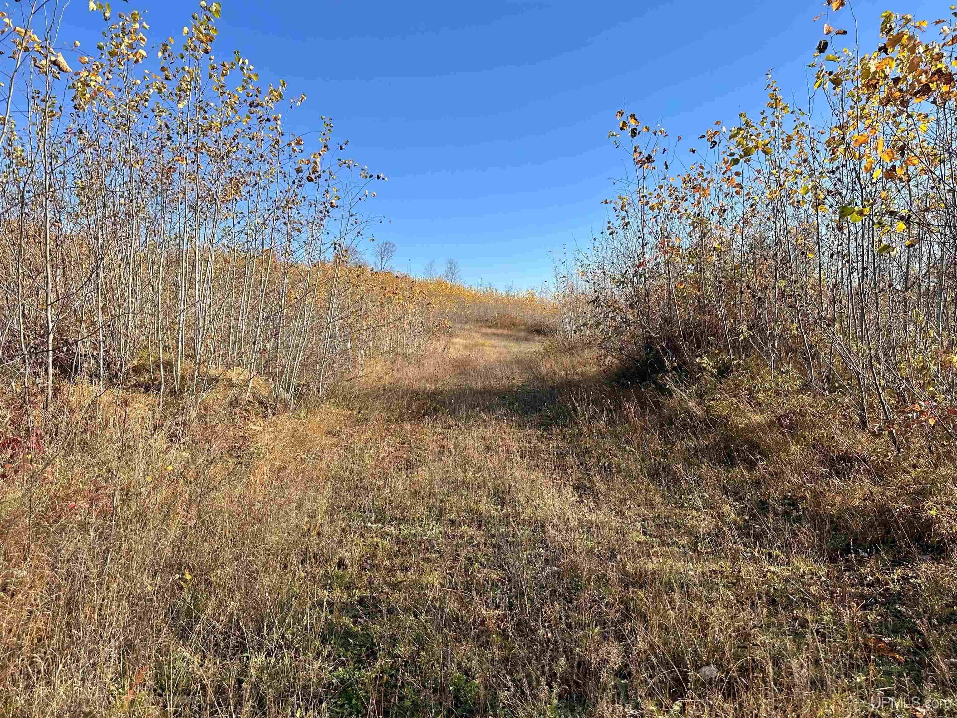 W8220 Co Road Vulcan, MI 49892 - Photo 8 of 14
