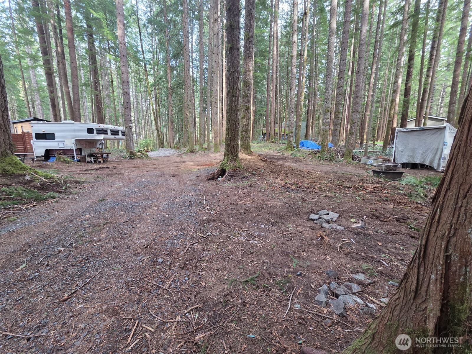 56207 Kernahan Road East Ashford, WA 98304 - Photo 11 of 13