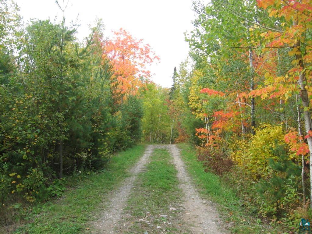 1687 Golden Ridge Trail Ely, MN 55731 - Photo 10 of 28 Gallery Image 10